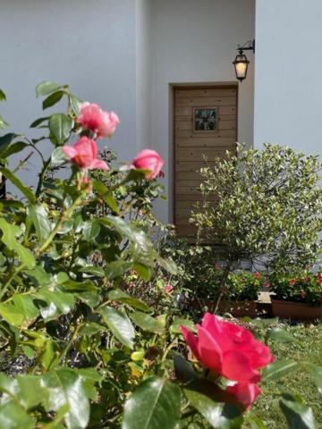 Au Coeur Du Noyau Holiday home