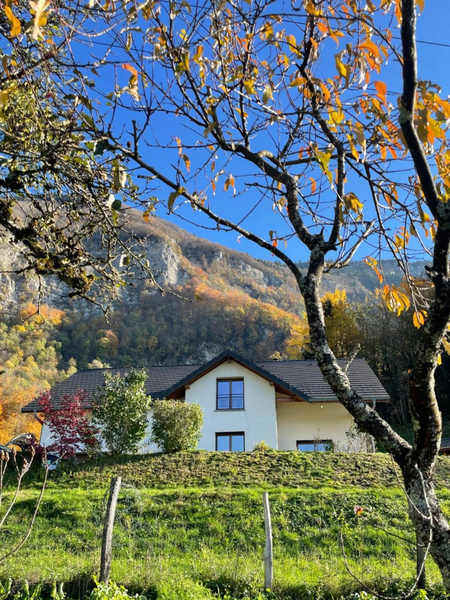 Au Coeur Du Noyau
