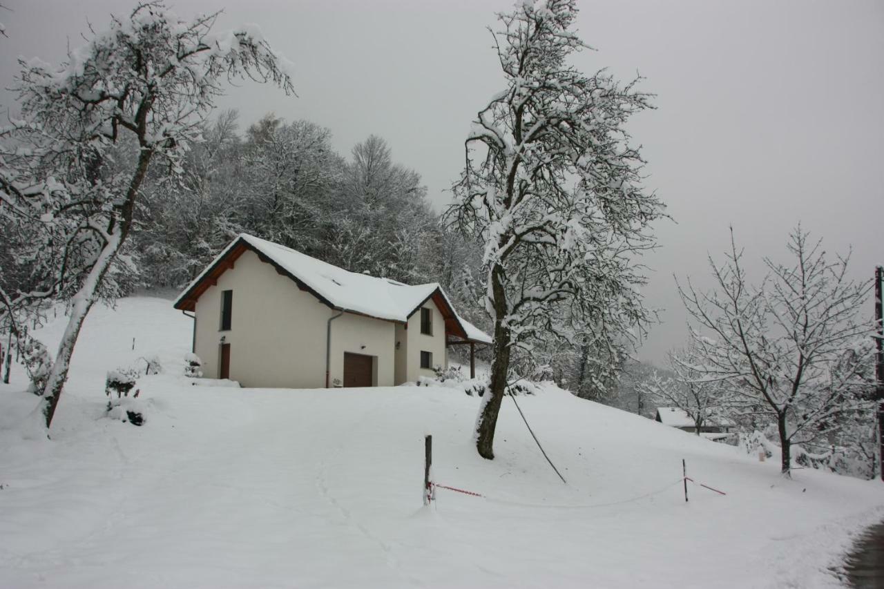 Holiday home Au Coeur Du Noyau